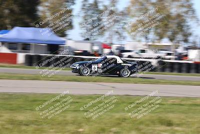 media/Mar-16-2024-CalClub SCCA (Sat) [[de271006c6]]/Group 6/Race/